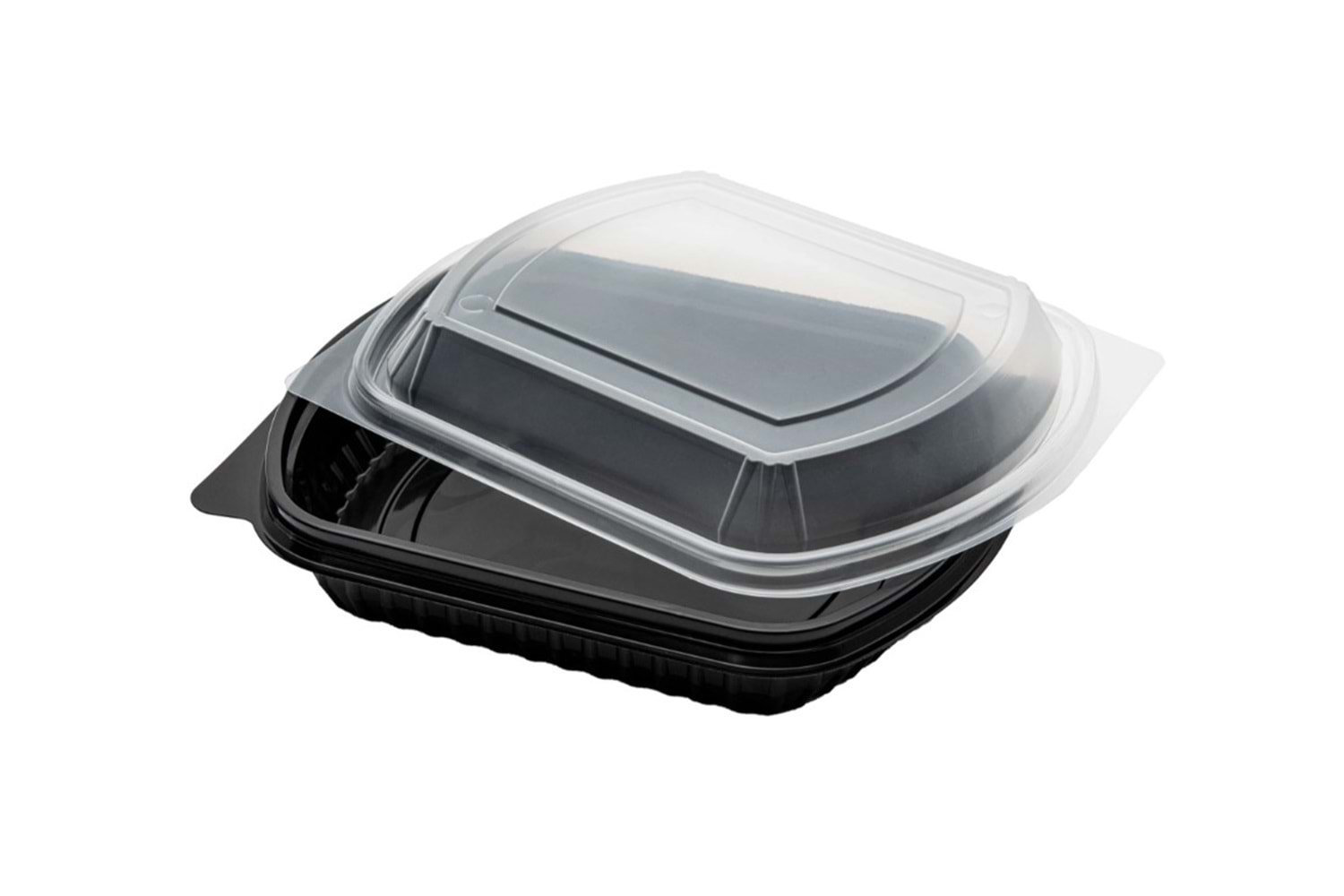 MİKRODALGA TEK BÖLME 100 LÜ SET