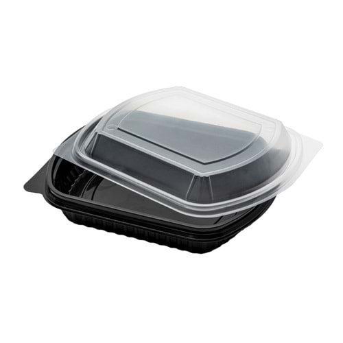 MİKRODALGA TEK BÖLME 100 LÜ SET